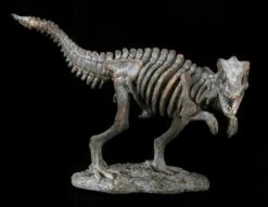 Dinosaurier Figur - Kleines Tyrannosaurus Rex Skelett -Figurenmodell Geschäft 12676 1 dinosaurier t rex 1 1280x1280