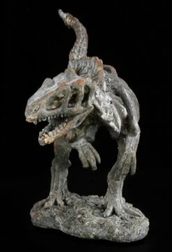 Dinosaurier Figur - Kleines Tyrannosaurus Rex Skelett -Figurenmodell Geschäft 12676 2 dinosaurier t rex 2 1280x1280