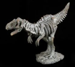 Dinosaurier Figur - Kleines Tyrannosaurus Rex Skelett -Figurenmodell Geschäft 12676 3 dinosaurier t rex 3 1280x1280