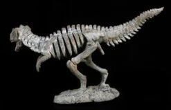 Dinosaurier Figur - Kleines Tyrannosaurus Rex Skelett -Figurenmodell Geschäft 12676 4 dinosaurier t rex 4 1280x1280