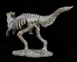Dinosaurier Figur - Kleines Tyrannosaurus Rex Skelett -Figurenmodell Geschäft 12676 5 dinosaurier t rex 5 1280x1280