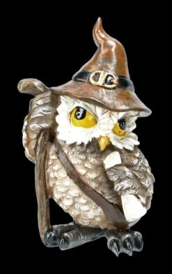 Eulen Figuren 2er Set - Zauberer 14 Eulen Figuren 2er Set - Zauberer -Figurenmodell Geschäft 2D FA39697 Eulen Figuren 2er Set Zauberer 96d6S3sqzdFMwu 1280x1280