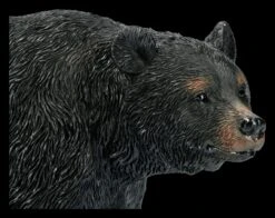 Schwarzbär Figur Gehend 11 Schwarzbär Figur Gehend -Figurenmodell Geschäft 2D FS21628 Schwarzbaer Figur Laufend 2 1280x1280