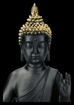 Schwarze Buddha Figur Mit Erhobener Hand 15 Schwarze Buddha Figur Mit Erhobener Hand -Figurenmodell Geschäft 2D FS21817 Schwarze Buddha Figur Sitzend mit erhobener Hand 3 1280x1280