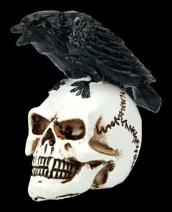 Alchemy Rabe Auf Schädel - Klein