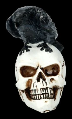 Alchemy Rabe Auf Schädel - Klein 10 Alchemy Rabe Auf Schädel - Klein -Figurenmodell Geschäft 2D FS21900 Alchemy Raabe auf Schaedel klein 2 1280x1280