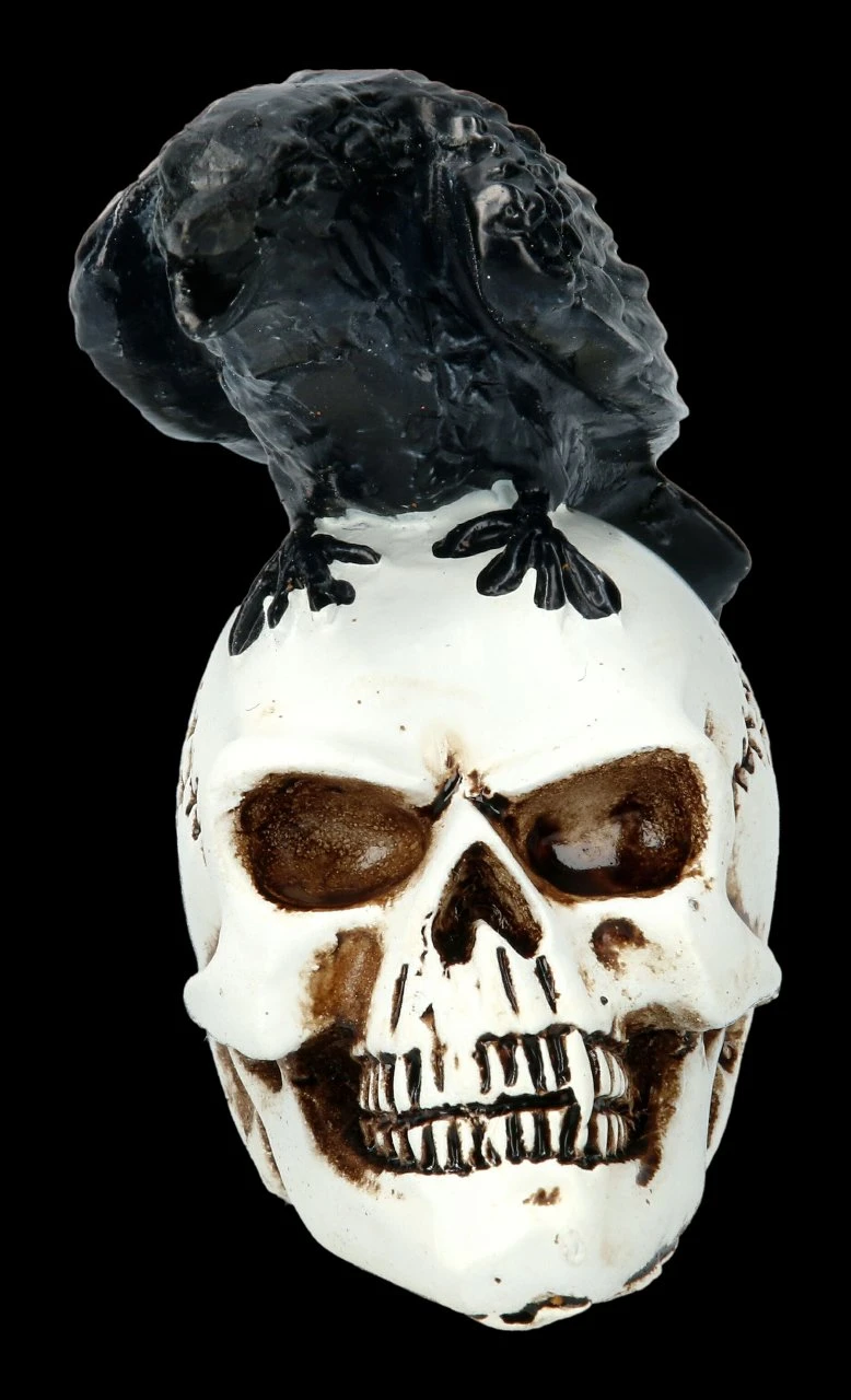 Alchemy Rabe Auf Schädel - Klein 5 Alchemy Rabe Auf Schädel - Klein – Bild 3