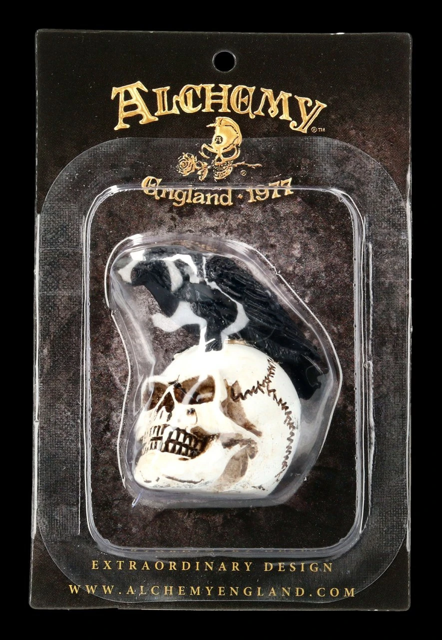 Alchemy Rabe Auf Schädel - Klein 4 Alchemy Rabe Auf Schädel - Klein – Bild 2