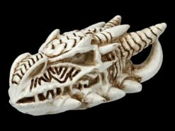 Alchemy Drachen Schädel - Klein -Figurenmodell Geschäft 2D FS21902 Alchemy Drachen Schaedel klein 3 1280x1280