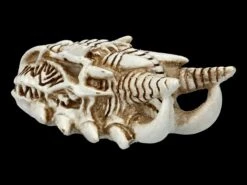 Alchemy Drachen Schädel - Klein -Figurenmodell Geschäft 2D FS21902 Alchemy Drachen Schaedel klein 4 1280x1280