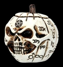 Alchemy Kürbis Schädel - Klein -Figurenmodell Geschäft 2D FS21903 Alchemy Kuerbis Schaedel klein 4 1280x1280