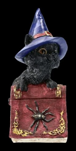 Kleine Hexenkatzen Figur - Hocus 13 Kleine Hexenkatzen Figur - Hocus -Figurenmodell Geschäft 2D FS22367 Kleine Hexenkatzen Figur Hocus 3 1280x1280