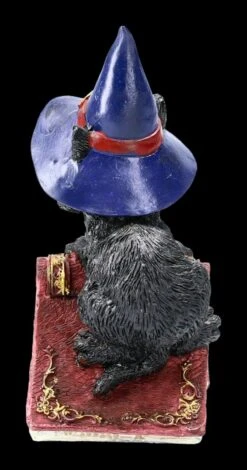 Kleine Hexenkatzen Figur - Hocus 11 Kleine Hexenkatzen Figur - Hocus -Figurenmodell Geschäft 2D FS22367 Kleine Hexenkatzen Figur Hocus 5 1280x1280