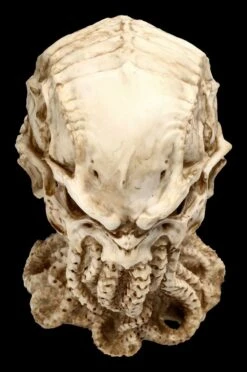 Cthulhu Totenkopf Figur By James Ryman -Figurenmodell Geschäft 2D FS22466 Cthulhu Totenkopf Figur by James Ryman 9 1280x1280