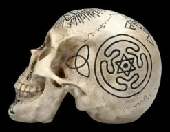 Totenschädel - Witchcraft -Figurenmodell Geschäft 2D FS22588 Totenschaedel Witchcraft 3 1280x1280