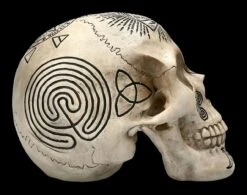 Totenschädel - Witchcraft -Figurenmodell Geschäft 2D FS22588 Totenschaedel Witchcraft 5 1280x1280