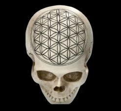 Totenkopf - Heilige Geometrie - Blume Des Lebens 15 Totenkopf - Heilige Geometrie - Blume Des Lebens -Figurenmodell Geschäft 2D FS23021 Totenkopf Heilige Geometrie Blume des Lebens 11 1280x1280
