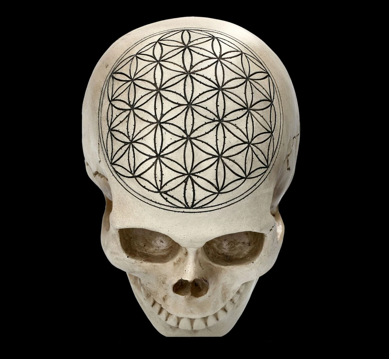 Totenkopf - Heilige Geometrie - Blume Des Lebens 9 Totenkopf - Heilige Geometrie - Blume Des Lebens – Bild 7