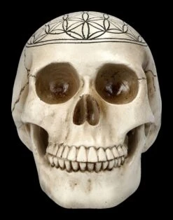 Totenkopf - Heilige Geometrie - Blume Des Lebens 11 Totenkopf - Heilige Geometrie - Blume Des Lebens -Figurenmodell Geschäft 2D FS23021 Totenkopf Heilige Geometrie Blume des Lebens 2 1280x1280
