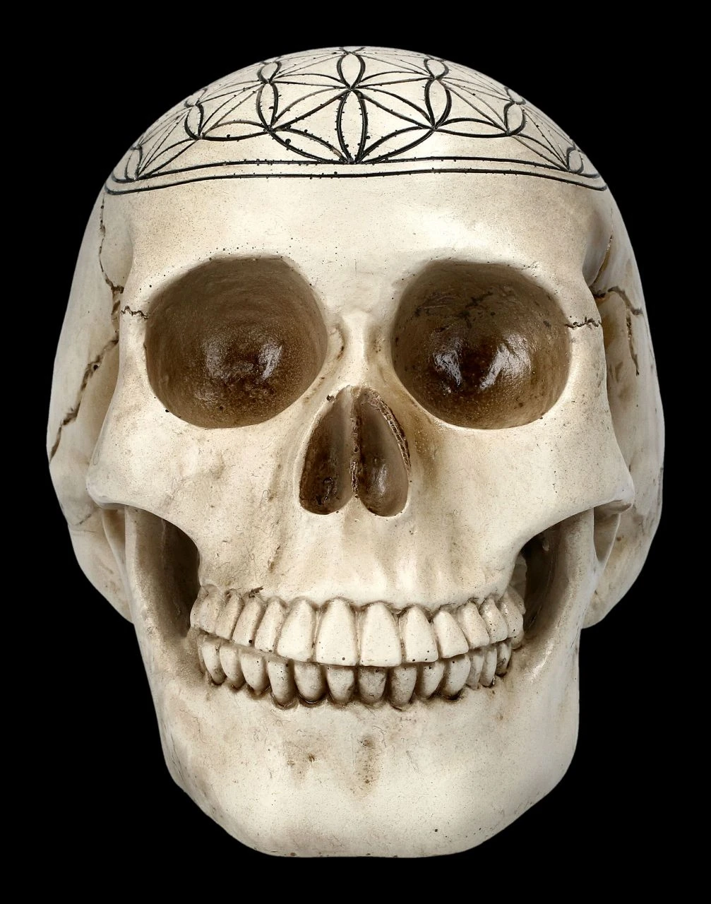 Totenkopf - Heilige Geometrie - Blume Des Lebens 5 Totenkopf - Heilige Geometrie - Blume Des Lebens – Bild 3