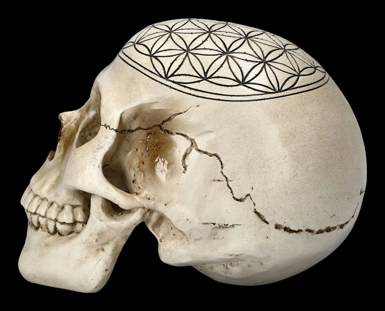 Totenkopf - Heilige Geometrie - Blume Des Lebens 6 Totenkopf - Heilige Geometrie - Blume Des Lebens – Bild 4