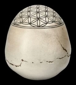 Totenkopf - Heilige Geometrie - Blume Des Lebens 13 Totenkopf - Heilige Geometrie - Blume Des Lebens -Figurenmodell Geschäft 2D FS23021 Totenkopf Heilige Geometrie Blume des Lebens 4 1280x1280