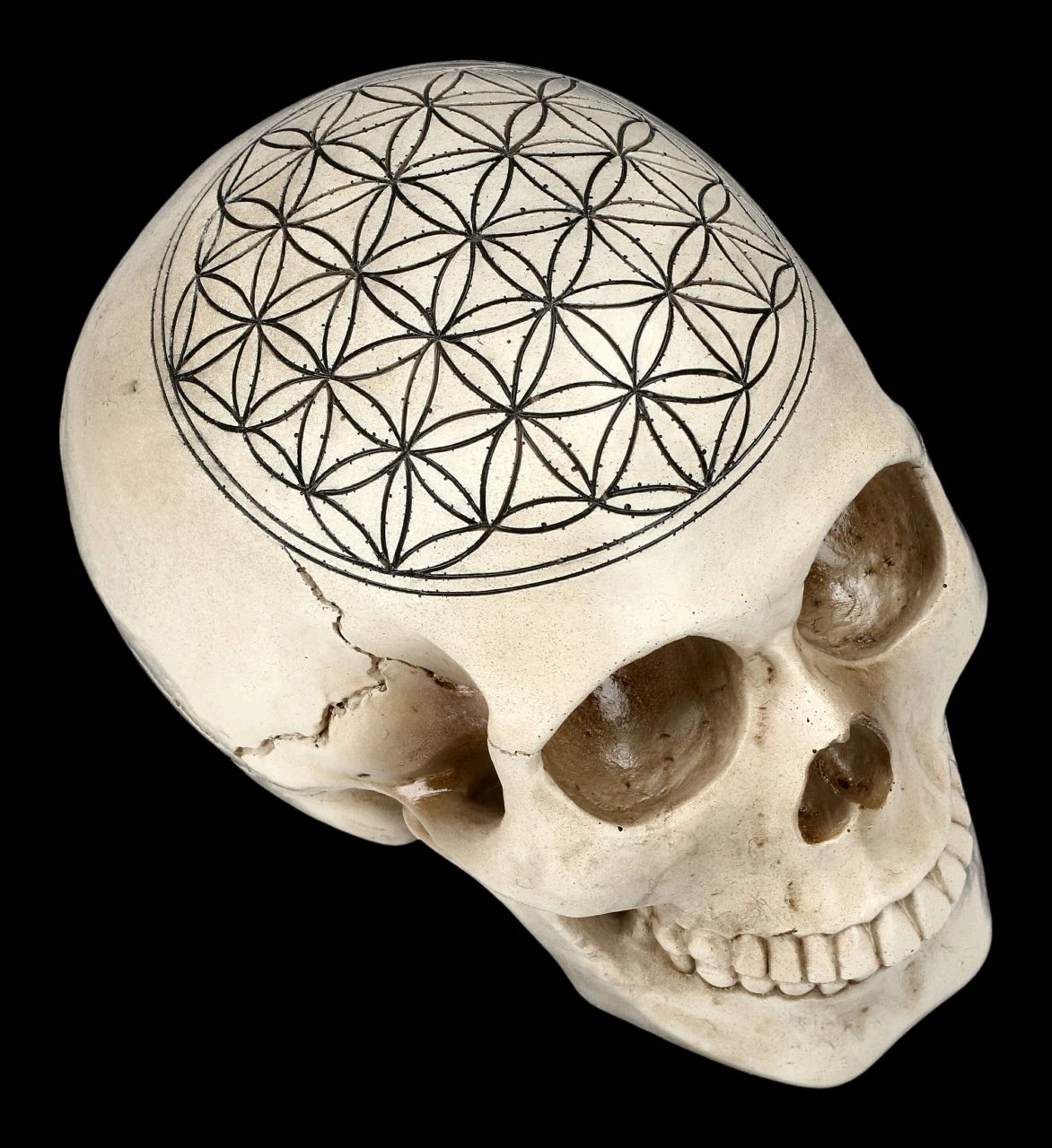 Totenkopf - Heilige Geometrie - Blume Des Lebens 4 Totenkopf - Heilige Geometrie - Blume Des Lebens – Bild 2