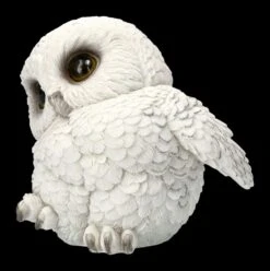 Eulen Figur - Schneeeulen Baby Feathers -Figurenmodell Geschäft 2D FS23180 Eulen Figur Schneeeulen Baby Feathers 7 1280x1280