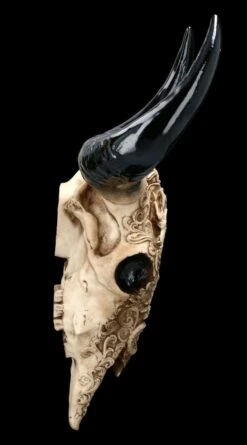 Wandrelief Stier Schädel - Drachenmotiv Groß -Figurenmodell Geschäft 2D FS23374 Wandrelief Stier Schadel Drachenmotiv gross 12 1280x1280