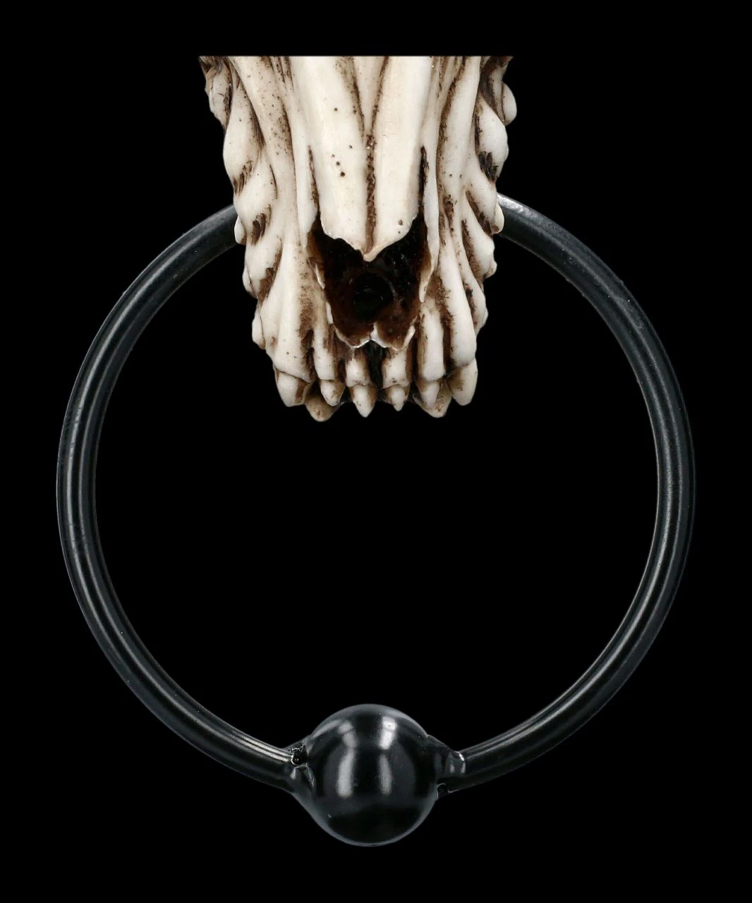 Türklopfer - Anubis Totenkopf 9 Türklopfer - Anubis Totenkopf – Bild 7