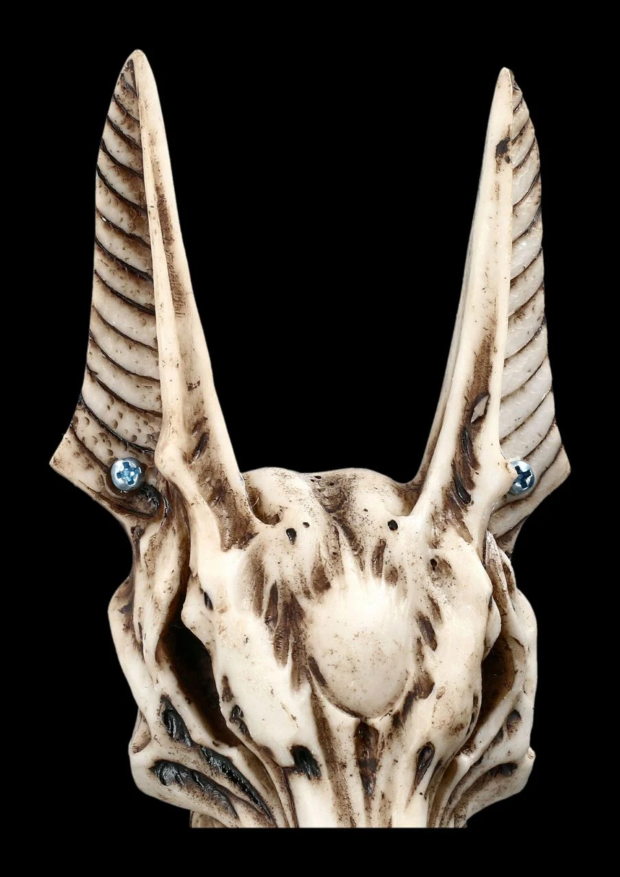 Türklopfer - Anubis Totenkopf 8 Türklopfer - Anubis Totenkopf – Bild 6