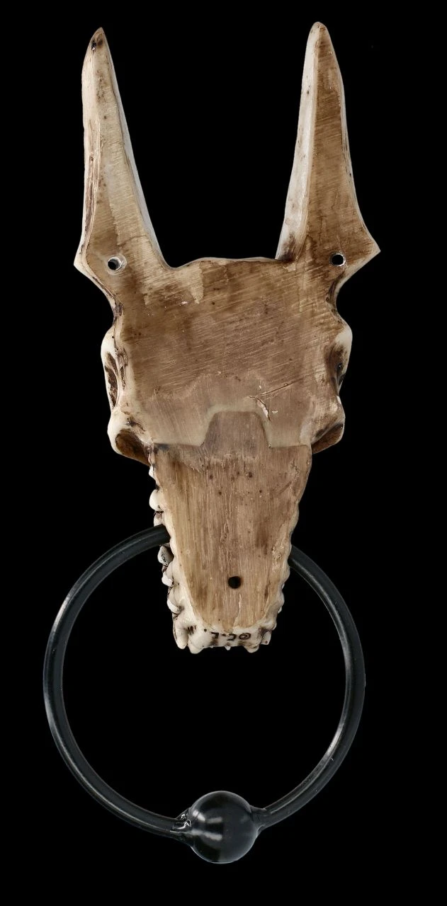 Türklopfer - Anubis Totenkopf 7 Türklopfer - Anubis Totenkopf – Bild 5