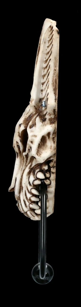 Türklopfer - Anubis Totenkopf 6 Türklopfer - Anubis Totenkopf – Bild 4