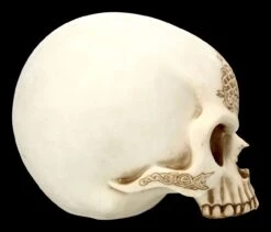 Totenkopf Mit Drache - Celtic Cave -Figurenmodell Geschäft 2D FS23382 Totenkopf mit Drach Celtic Cave 4 1280x1280