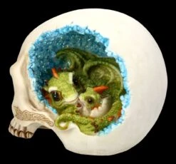 Totenkopf Mit Drache - Celtic Cave -Figurenmodell Geschäft 2D FS23382 Totenkopf mit Drach Celtic Cave 7 1280x1280