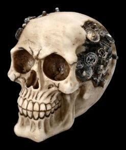 Totenkopf Mit Zahnrädern - Clockwork Cranium 14 Totenkopf Mit Zahnrädern - Clockwork Cranium -Figurenmodell Geschäft 2D FS23432 Totenkopf mit Zahnr dern Clockwork Cranium 6 1280x1280