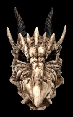 Schatulle - Drachen Totenschädel -Figurenmodell Geschäft 2D FS23495 Schatulle DrachenTotensch del 1He7tpnxrA1iu6 1280x1280