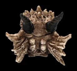 Schatulle - Drachen Totenschädel -Figurenmodell Geschäft 2D FS23495 Schatulle DrachenTotensch del 3F3IRplMFaPRwE 1280x1280