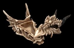 Schatulle - Drachen Totenschädel -Figurenmodell Geschäft 2D FS23495 Schatulle DrachenTotensch del 75pNzV6PhQKFCf 1280x1280