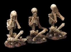 Skelett Figuren Sitzend 3er Set - Nichts Böses -Figurenmodell Geschäft 2D FS23500 Skelett Figuren sitzend 3er Set Nichts B ses 5CPV1UsBbirH9v 1280x1280