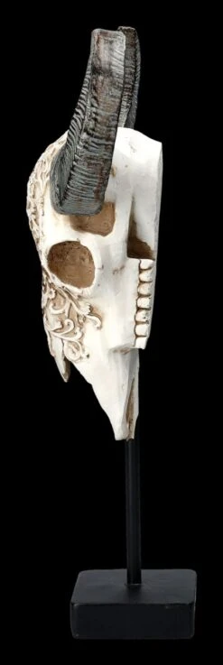 Bullen Totenkopf - Verziert Mit Ständer -Figurenmodell Geschäft 2D FS23525 Bullen Totenkopf mit Verzierungen und St nder 2 1280x1280