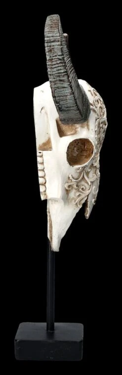 Bullen Totenkopf - Verziert Mit Ständer -Figurenmodell Geschäft 2D FS23525 Bullen Totenkopf mit Verzierungen und St nder 4 1280x1280