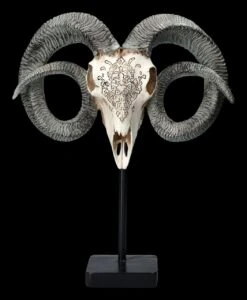 Widder Totenkopf - Verziert Mit Ständer