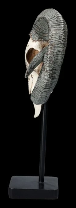 Widder Totenkopf - Verziert Mit Ständer -Figurenmodell Geschäft 2D FS23527 Widder Totenkopf mit Verzeirungen und St nder 2 1280x1280