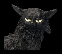 Schwarze Katzen Figur - Salem Klein -Figurenmodell Geschäft 2D FS23582 Schaaarze Katze Figur Salem klein 9 1280x1280