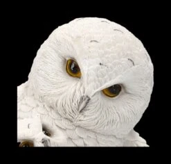 Schneeeulen Figur - Feathered Guide -Figurenmodell Geschäft 2D FS23592 SChneeeulen Figur Feathered Guide 10 1280x1280