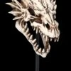 Drachen Totenkopf Auf Ständer -Figurenmodell Geschäft 2D FS23949 Drachen Totenkopf auf St nder 8 1280x1280