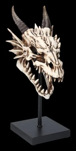 Drachen Totenkopf Auf Ständer