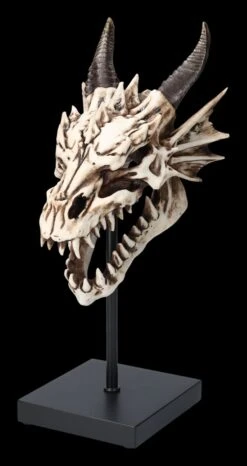 Drachen Totenkopf Auf Ständer 12 Drachen Totenkopf Auf Ständer -Figurenmodell Geschäft 2D FS23949 Drachen Totenkopf auf St nder 9 1280x1280