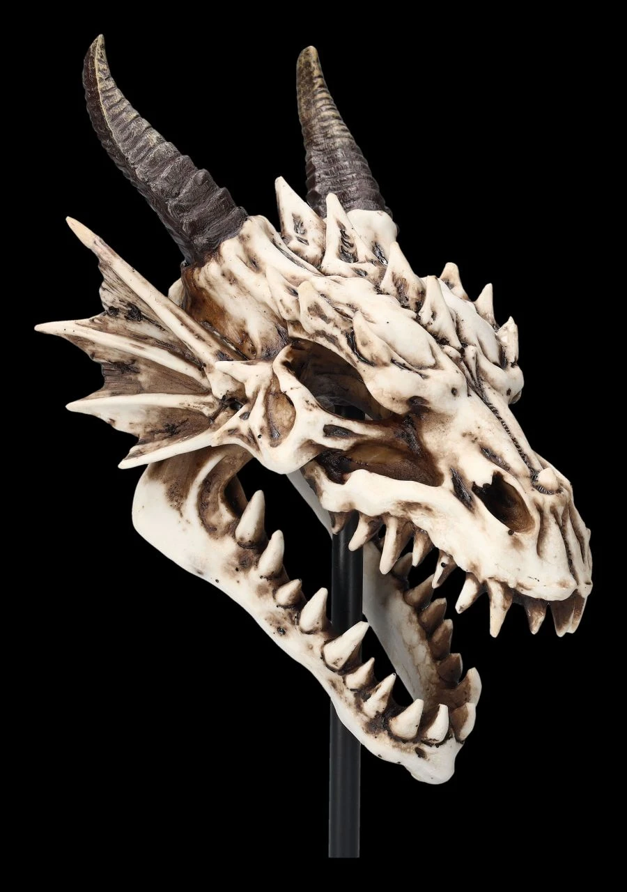Drachen Totenkopf Auf Ständer 9 Drachen Totenkopf Auf Ständer – Bild 7
